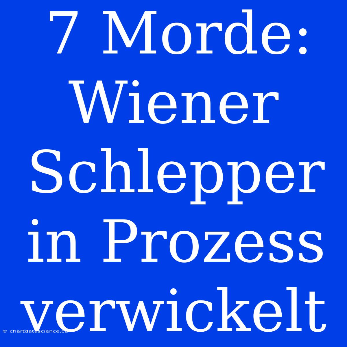 7 Morde: Wiener Schlepper In Prozess Verwickelt