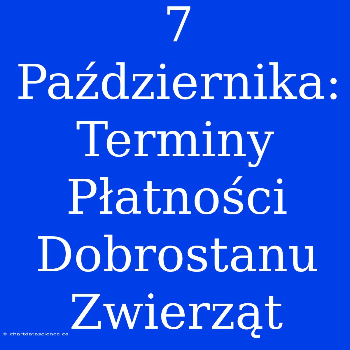 7 Października: Terminy Płatności Dobrostanu Zwierząt