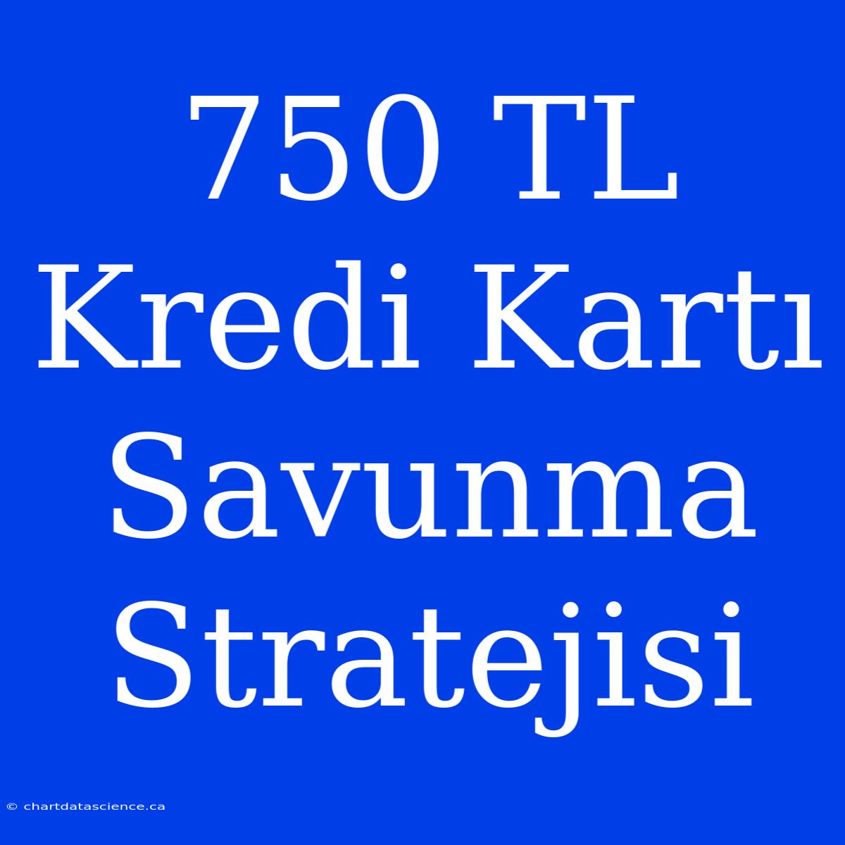 750 TL Kredi Kartı Savunma Stratejisi