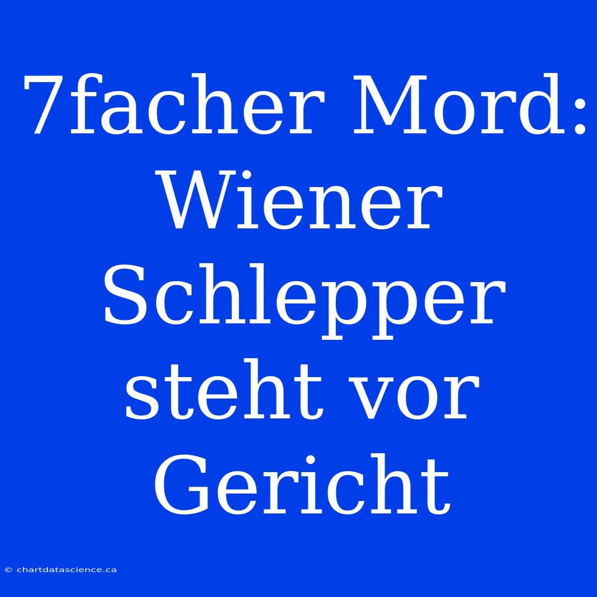 7facher Mord: Wiener Schlepper Steht Vor Gericht