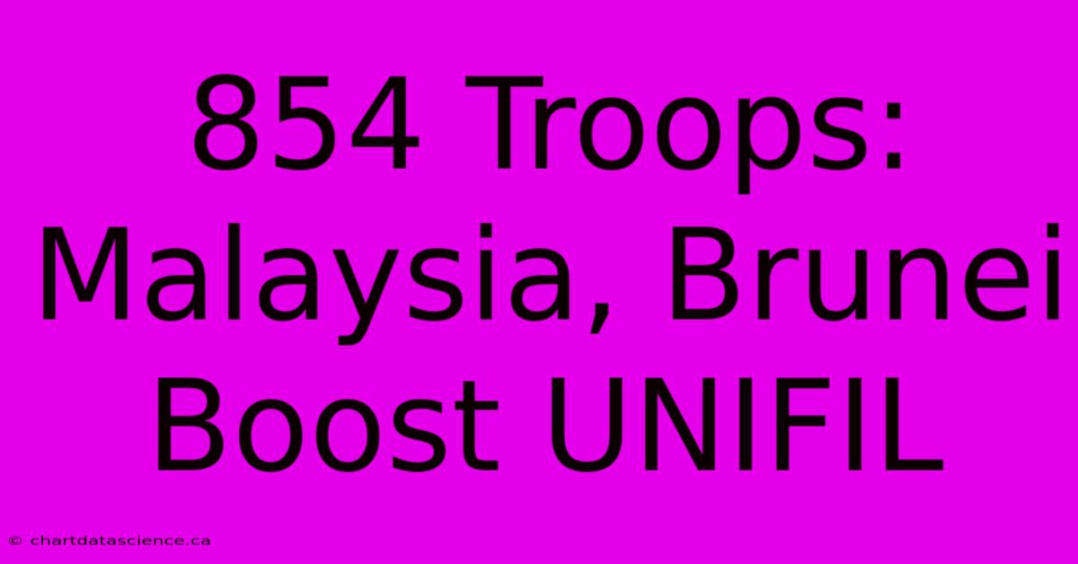 854 Troops: Malaysia, Brunei Boost UNIFIL