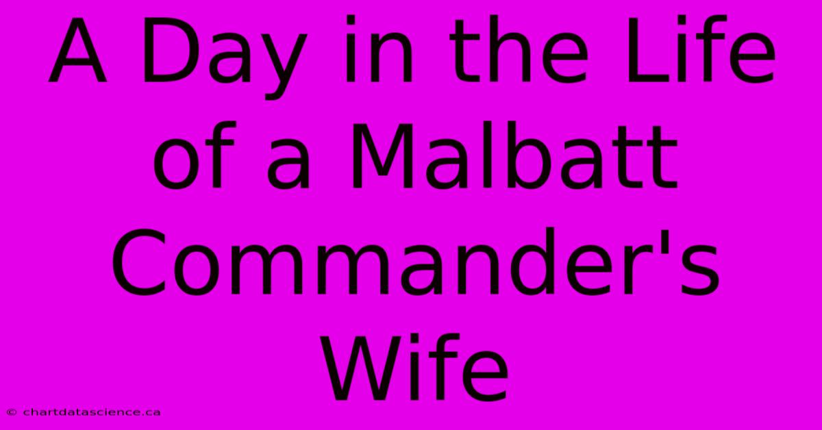 A Day In The Life Of A Malbatt Commander's Wife 