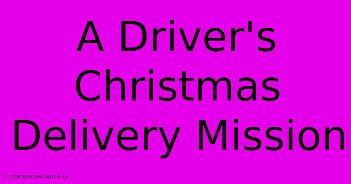 A Driver's Christmas Delivery Mission