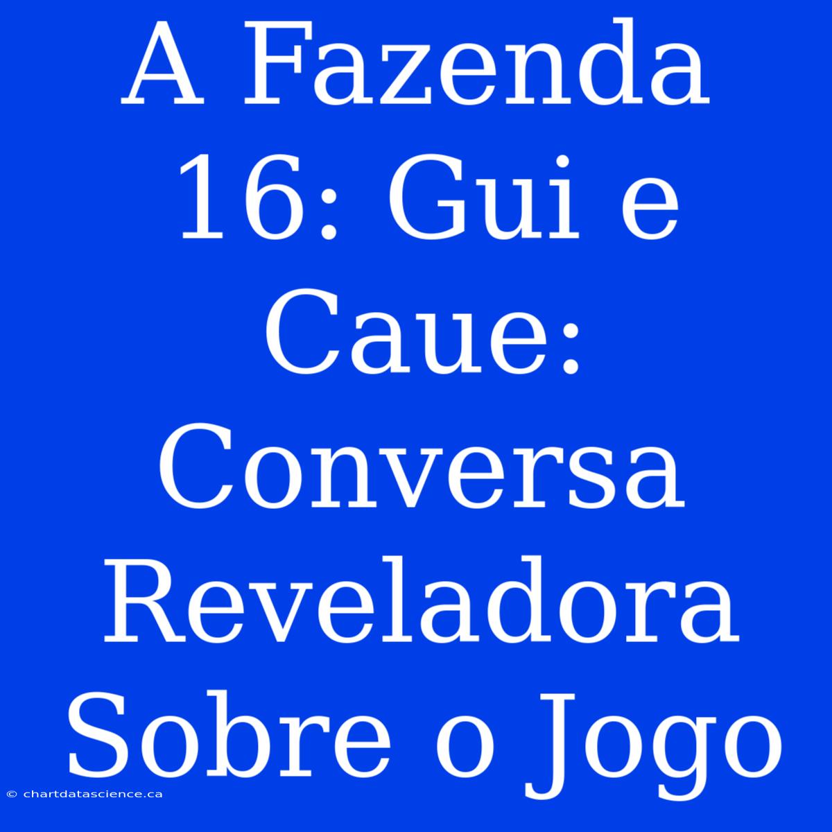 A Fazenda 16: Gui E Caue: Conversa Reveladora Sobre O Jogo