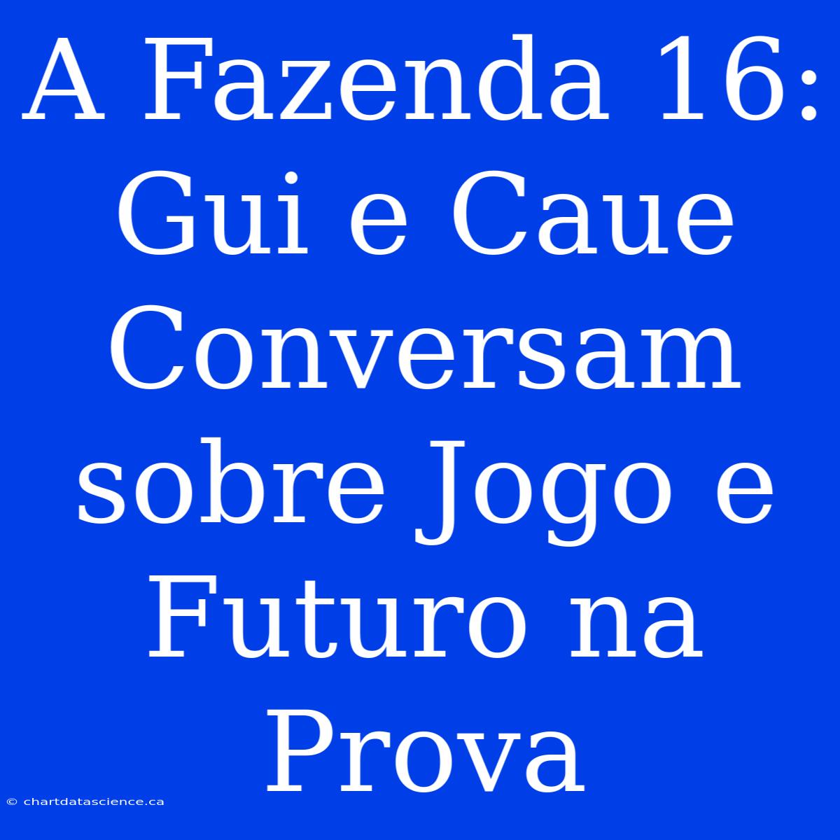 A Fazenda 16: Gui E Caue Conversam Sobre Jogo E Futuro Na Prova