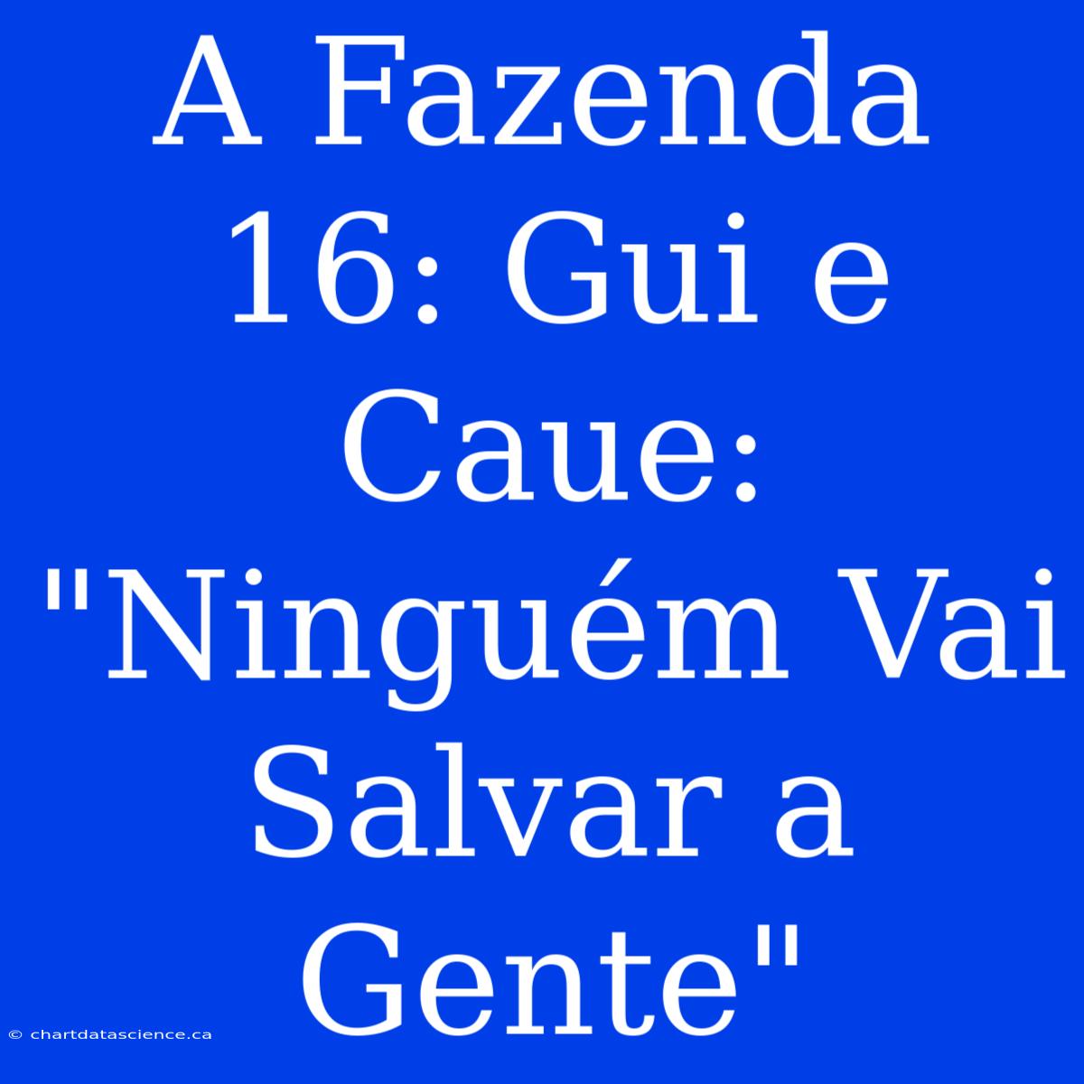 A Fazenda 16: Gui E Caue: 