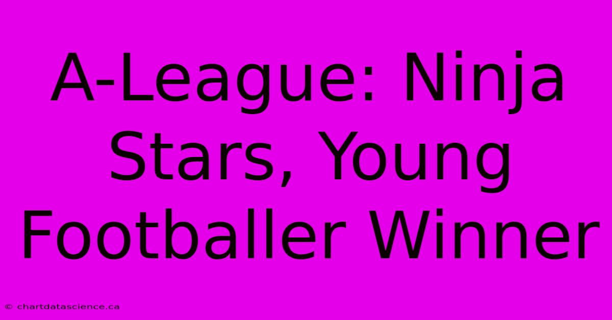 A-League: Ninja Stars, Young Footballer Winner