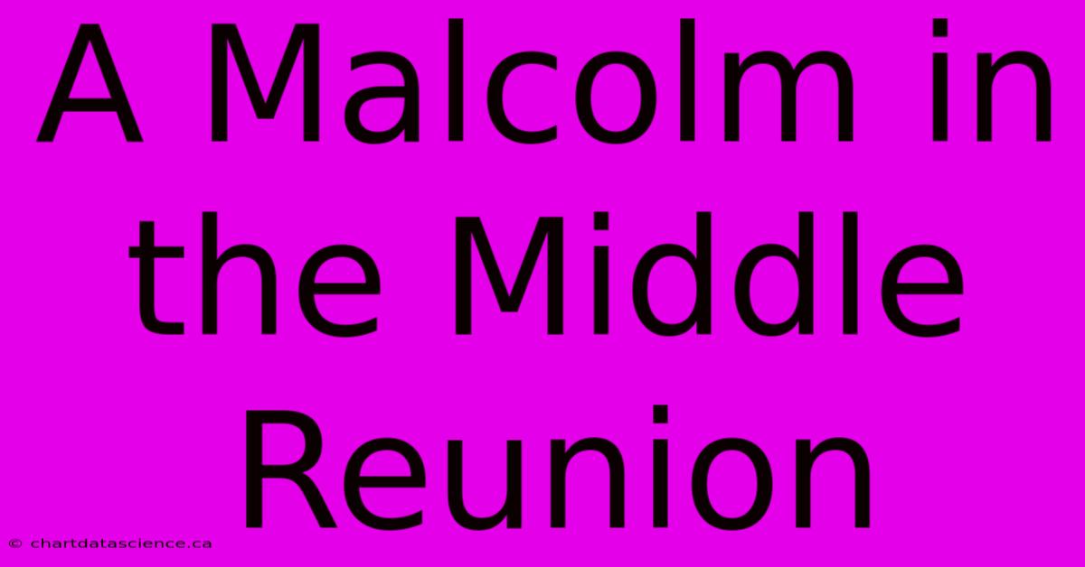 A Malcolm In The Middle Reunion