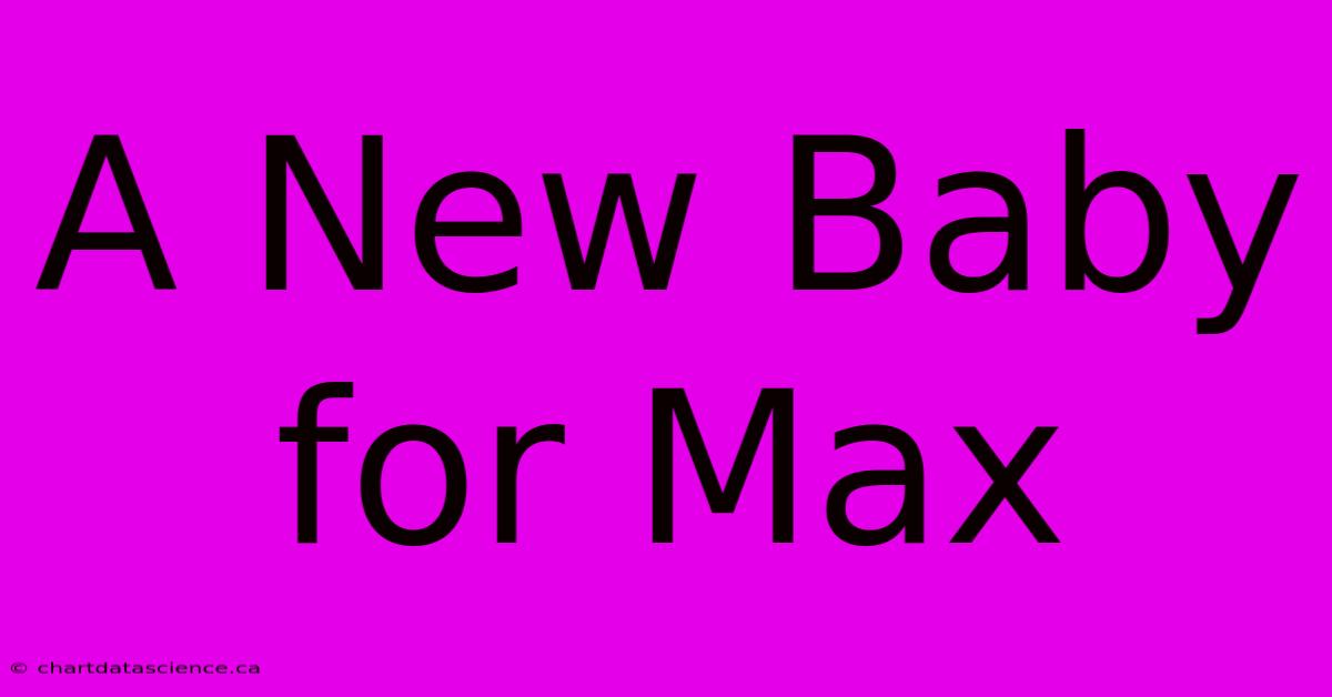 A New Baby For Max