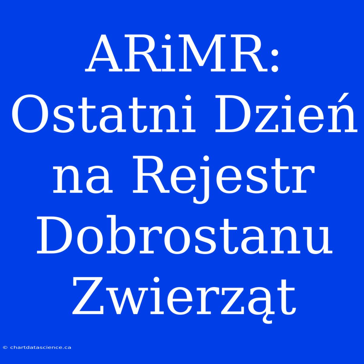 ARiMR: Ostatni Dzień Na Rejestr Dobrostanu Zwierząt