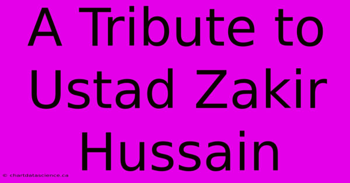 A Tribute To Ustad Zakir Hussain