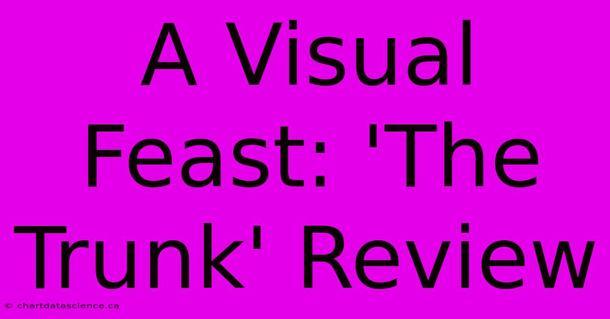 A Visual Feast: 'The Trunk' Review