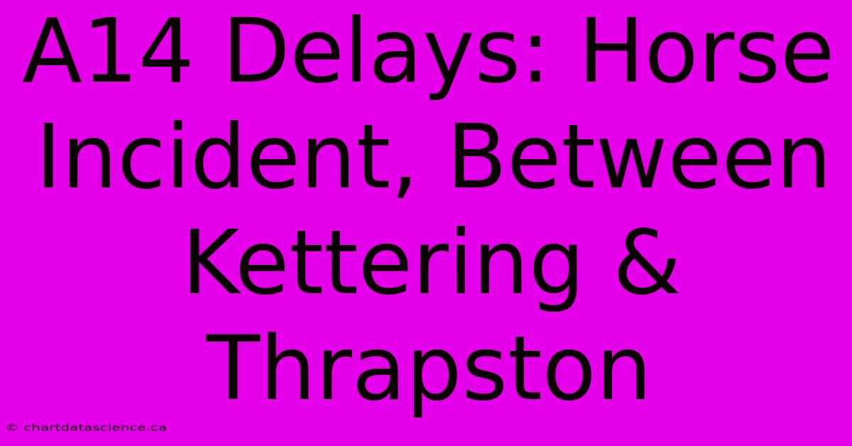 A14 Delays: Horse Incident, Between Kettering & Thrapston 