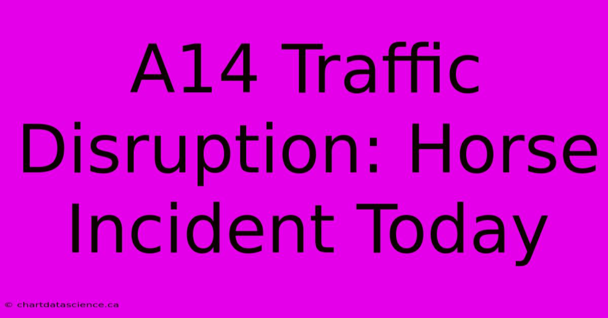 A14 Traffic Disruption: Horse Incident Today