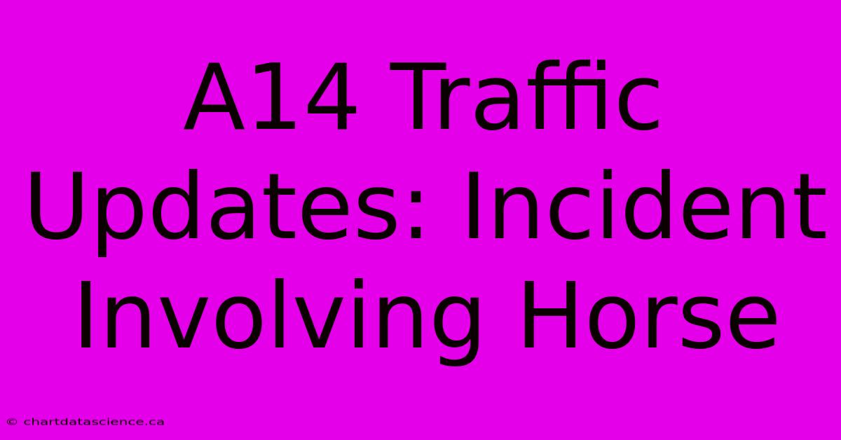 A14 Traffic Updates: Incident Involving Horse