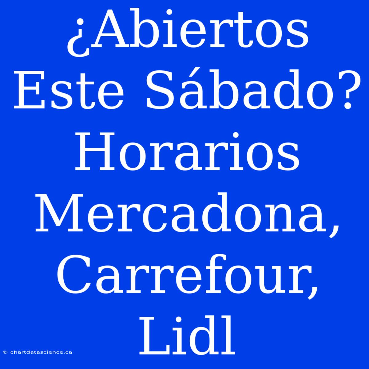 ¿Abiertos Este Sábado? Horarios Mercadona, Carrefour, Lidl