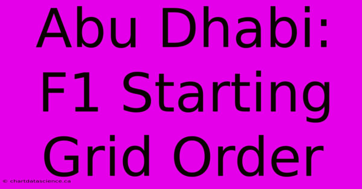 Abu Dhabi: F1 Starting Grid Order