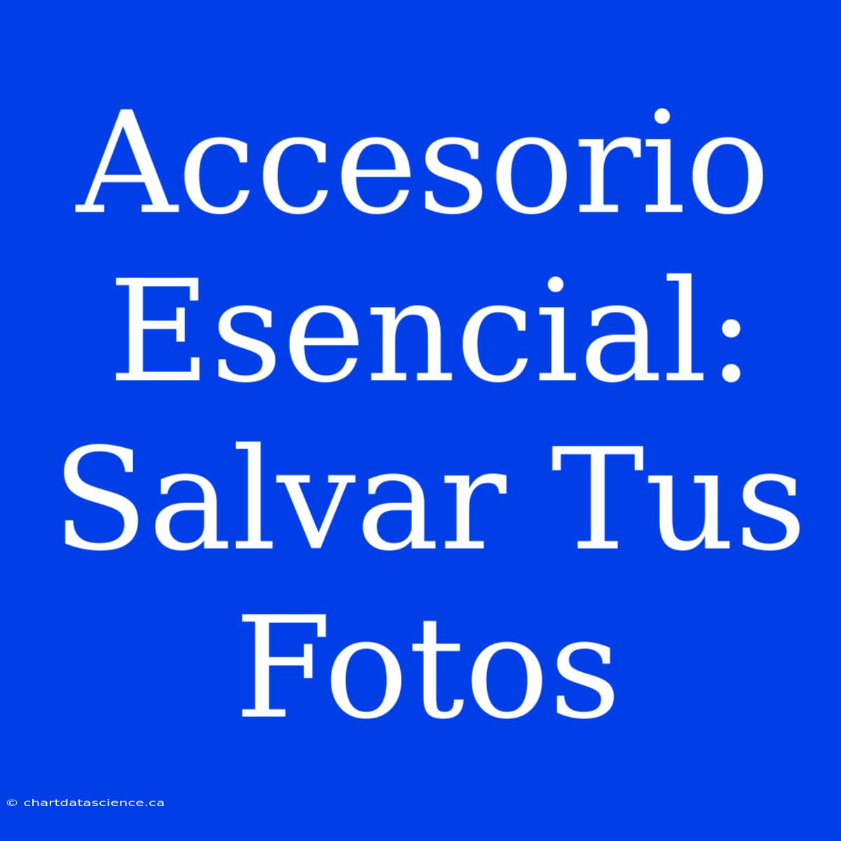 Accesorio Esencial: Salvar Tus Fotos