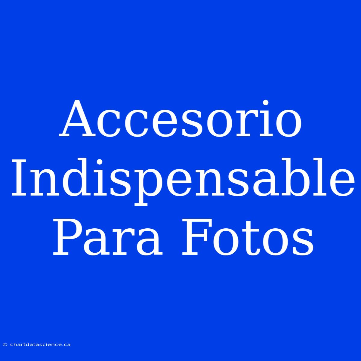 Accesorio Indispensable Para Fotos