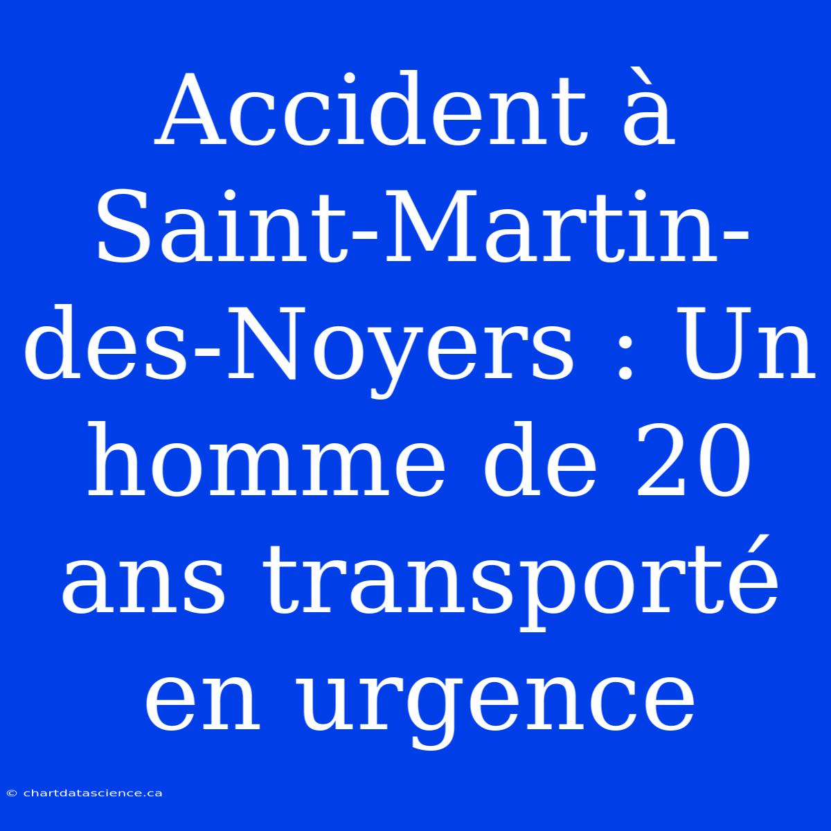 Accident À Saint-Martin-des-Noyers : Un Homme De 20 Ans Transporté En Urgence