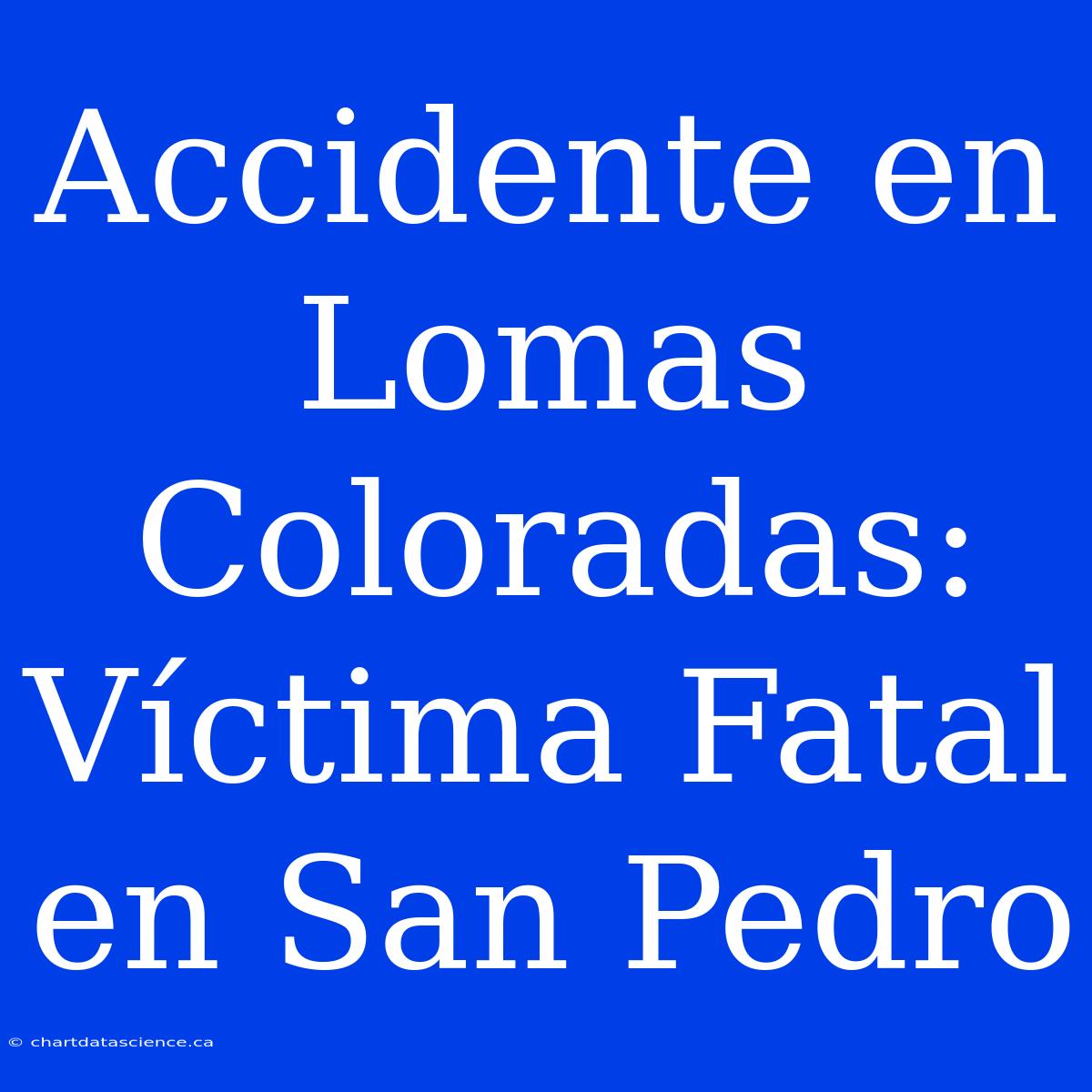 Accidente En Lomas Coloradas: Víctima Fatal En San Pedro