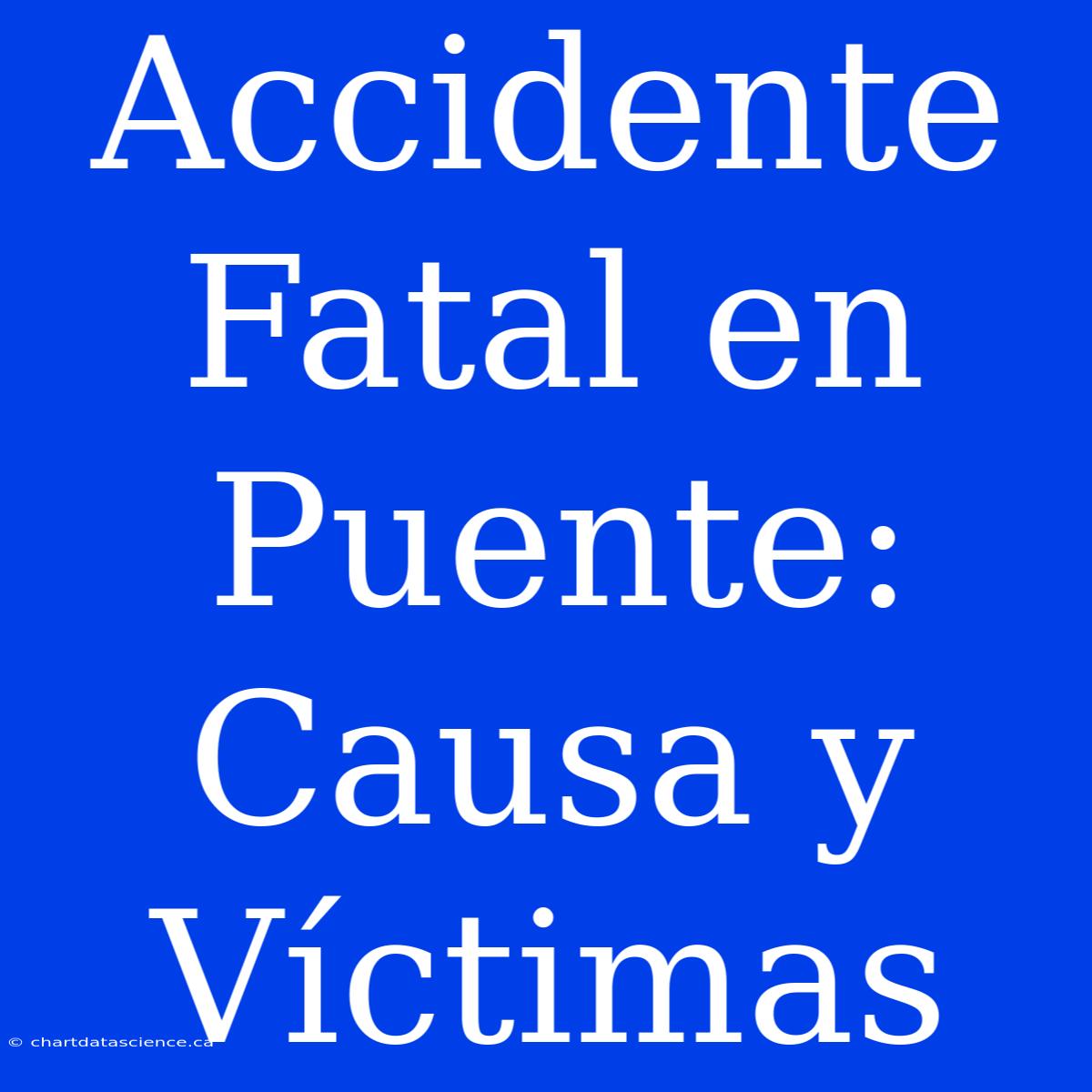 Accidente Fatal En Puente: Causa Y Víctimas