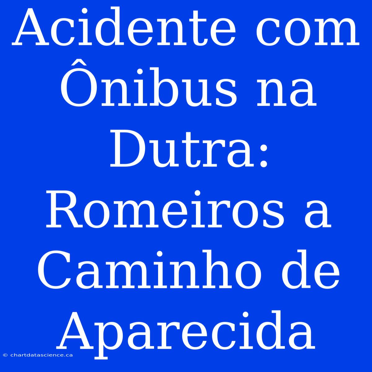 Acidente Com Ônibus Na Dutra: Romeiros A Caminho De Aparecida