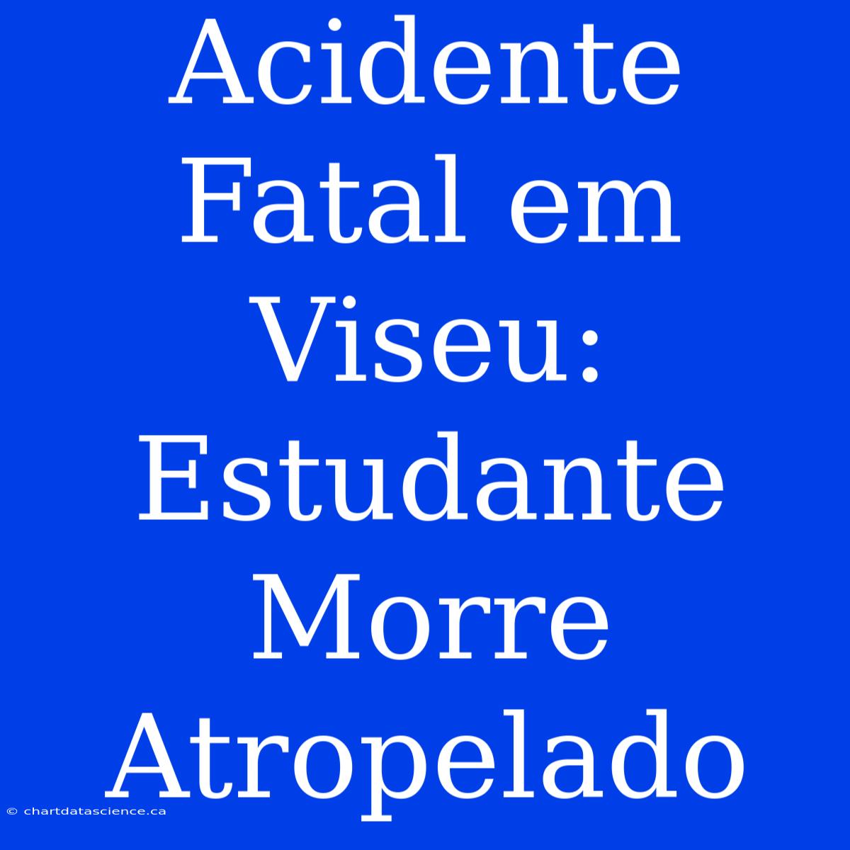 Acidente Fatal Em Viseu: Estudante Morre Atropelado