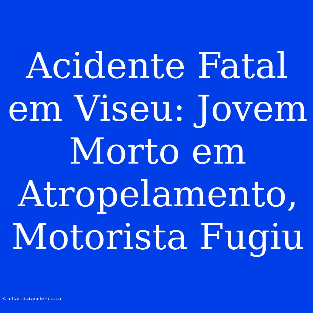 Acidente Fatal Em Viseu: Jovem Morto Em Atropelamento, Motorista Fugiu