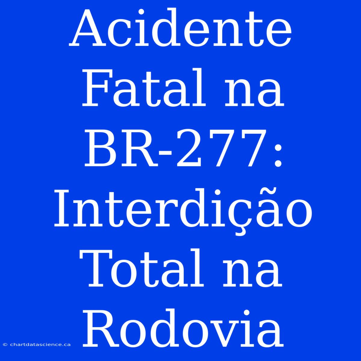 Acidente Fatal Na BR-277:  Interdição Total Na Rodovia