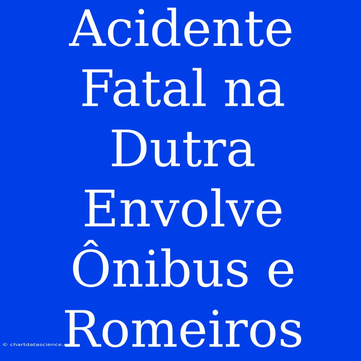 Acidente Fatal Na Dutra Envolve Ônibus E Romeiros