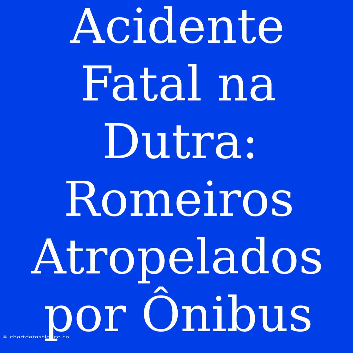 Acidente Fatal Na Dutra: Romeiros Atropelados Por Ônibus