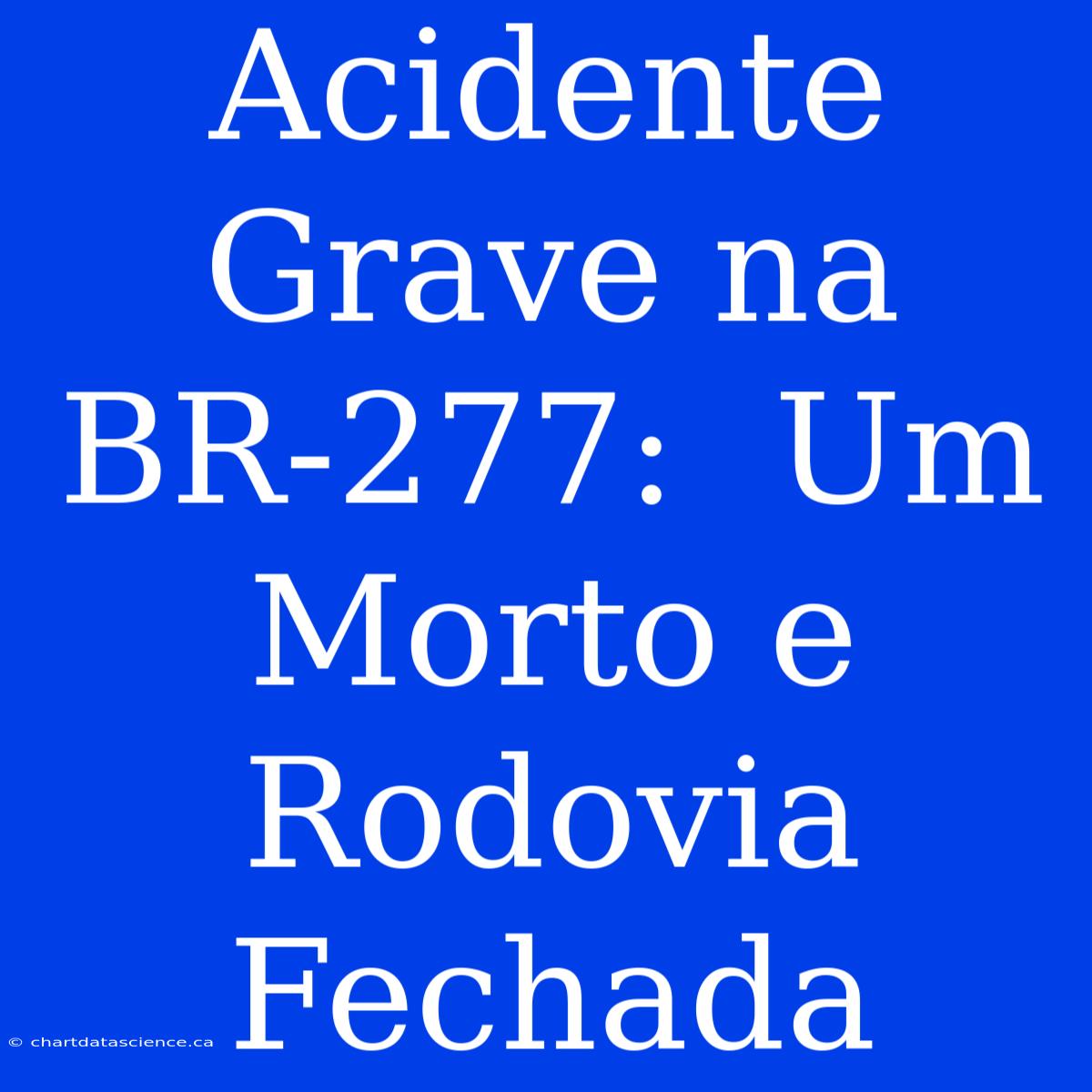 Acidente Grave Na BR-277:  Um Morto E Rodovia Fechada