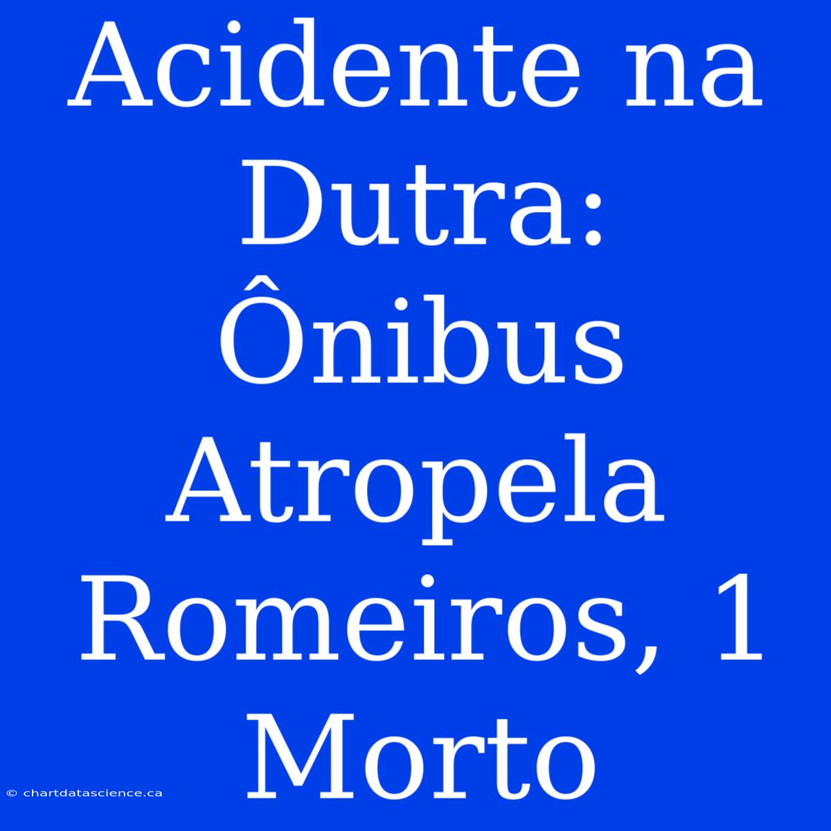 Acidente Na Dutra: Ônibus Atropela Romeiros, 1 Morto