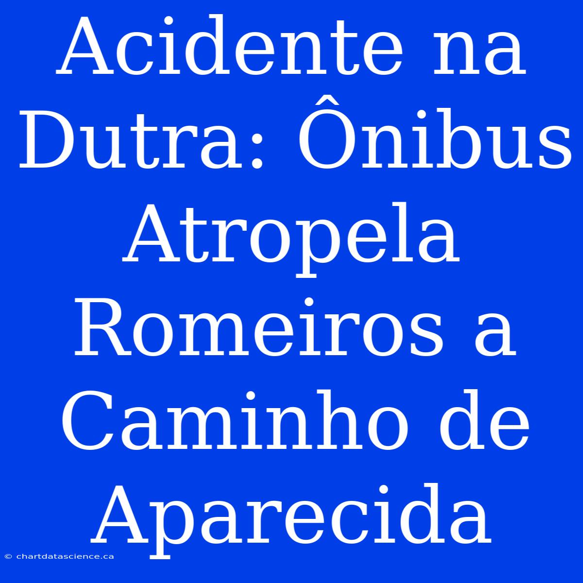 Acidente Na Dutra: Ônibus Atropela Romeiros A Caminho De Aparecida