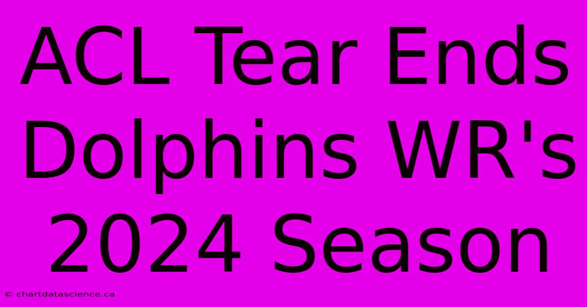 ACL Tear Ends Dolphins WR's 2024 Season