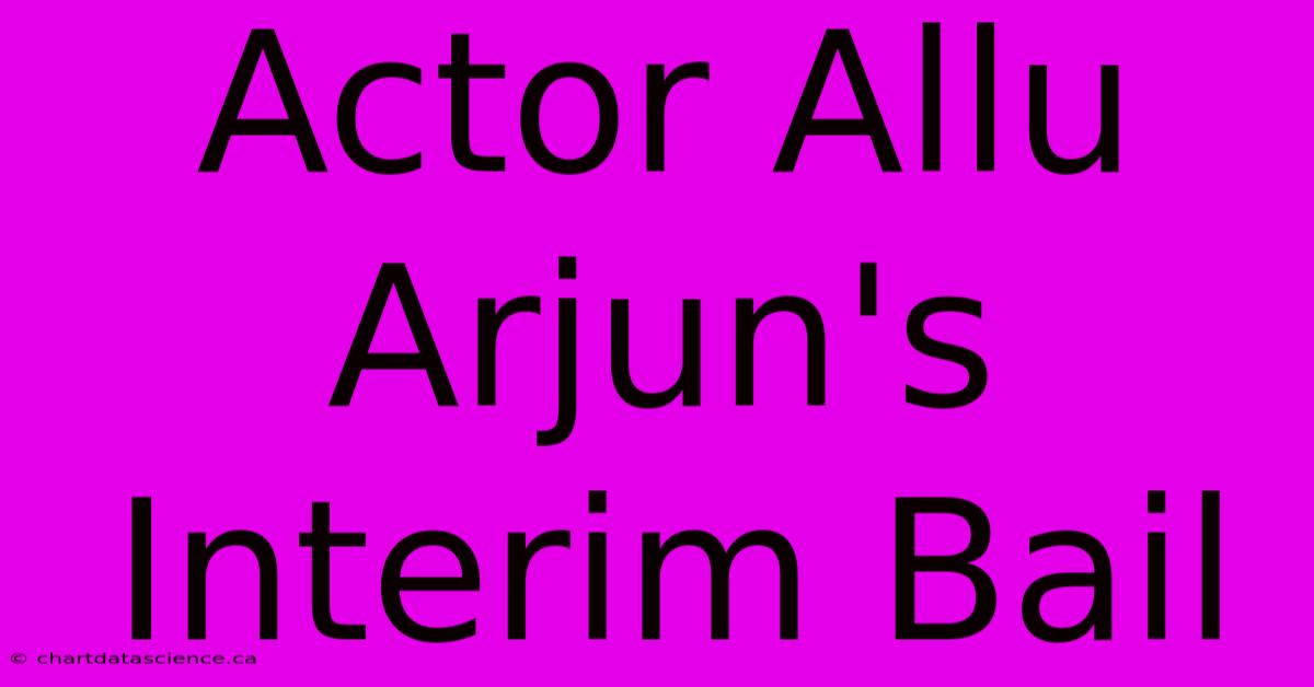 Actor Allu Arjun's Interim Bail