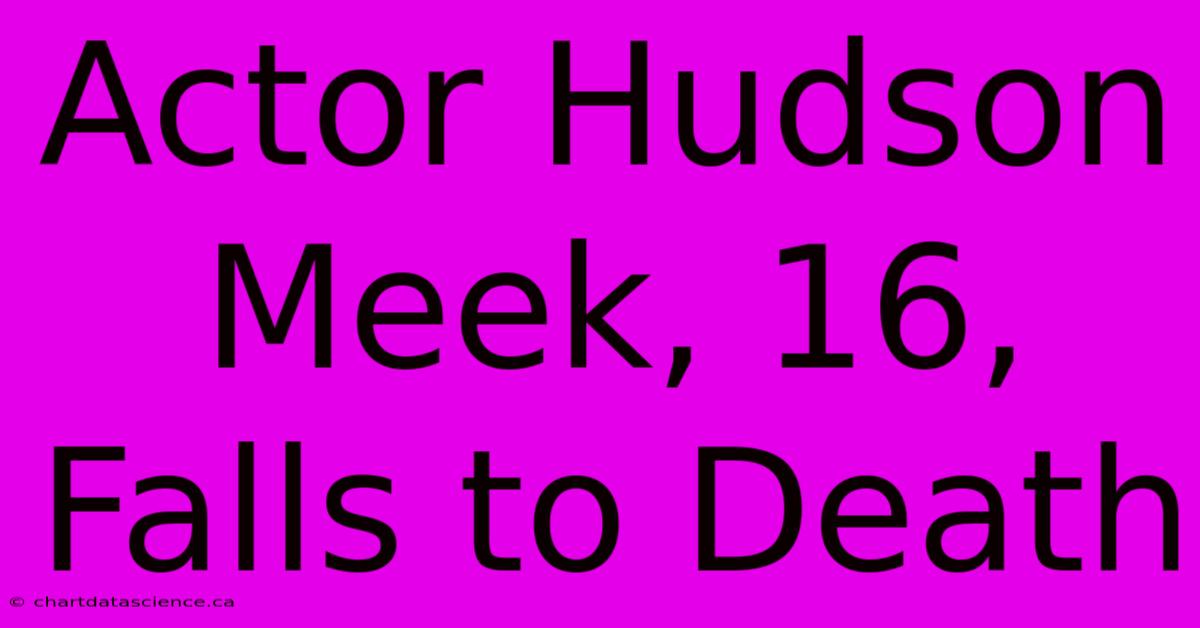 Actor Hudson Meek, 16, Falls To Death