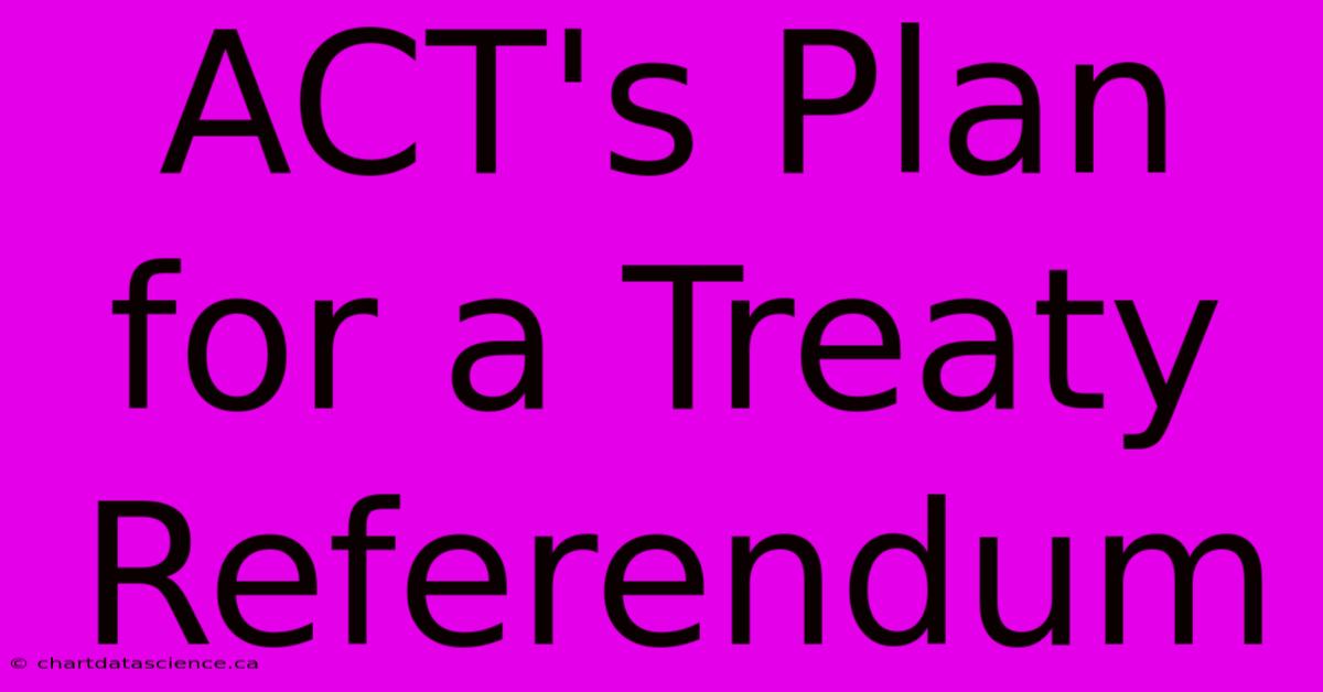 ACT's Plan For A Treaty Referendum