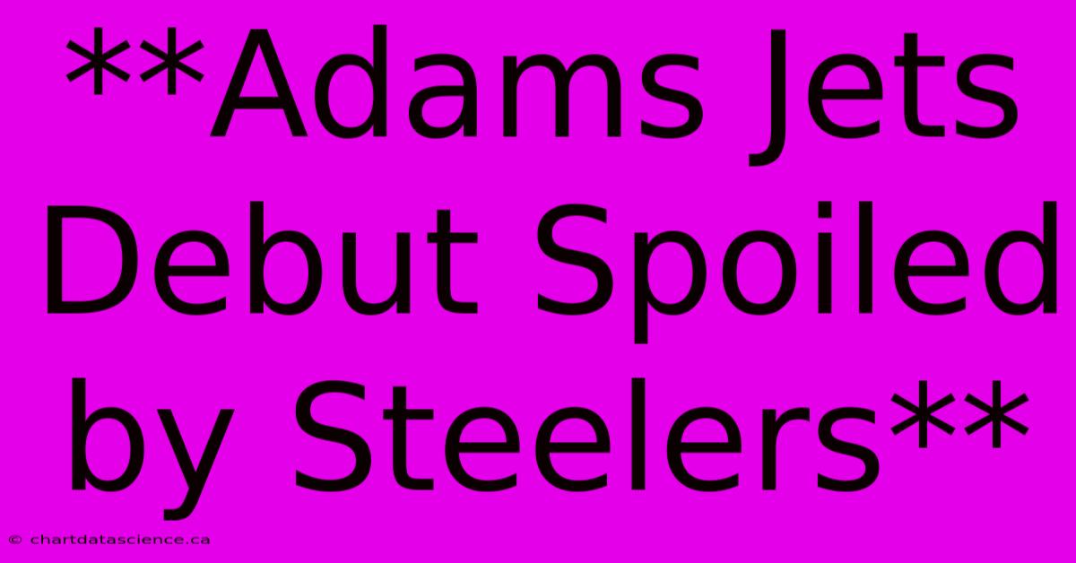 **Adams Jets Debut Spoiled By Steelers**