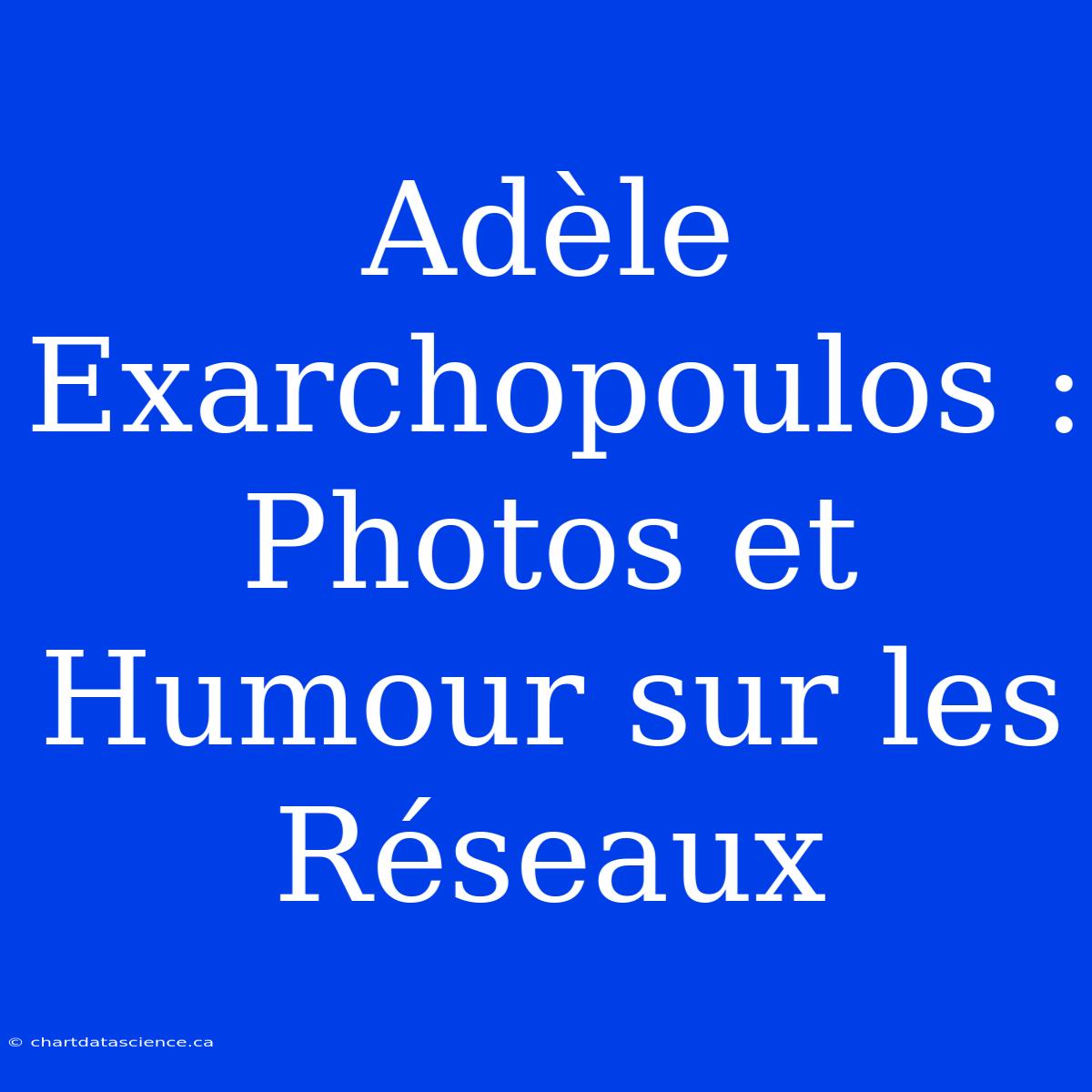 Adèle Exarchopoulos : Photos Et Humour Sur Les Réseaux