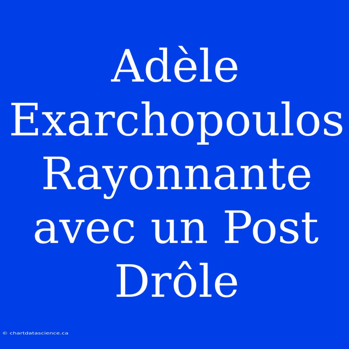 Adèle Exarchopoulos Rayonnante Avec Un Post Drôle