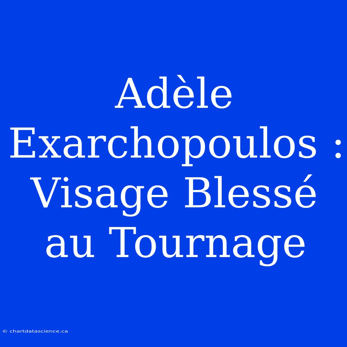 Adèle Exarchopoulos : Visage Blessé Au Tournage