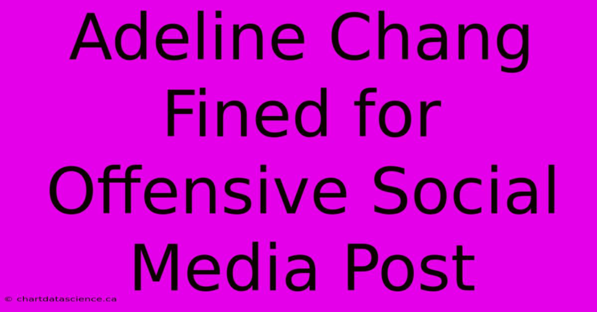 Adeline Chang Fined For Offensive Social Media Post