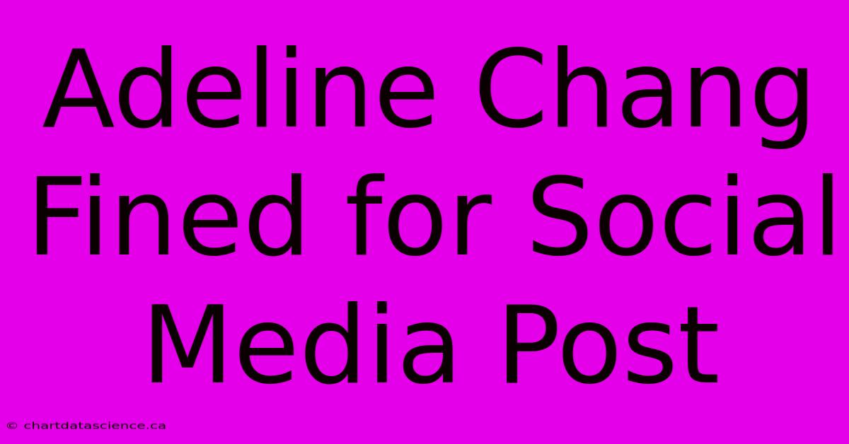 Adeline Chang Fined For Social Media Post