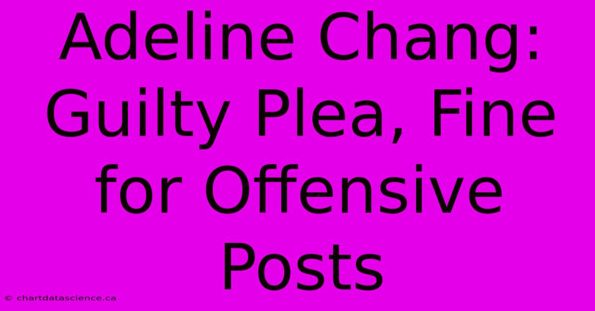 Adeline Chang: Guilty Plea, Fine For Offensive Posts