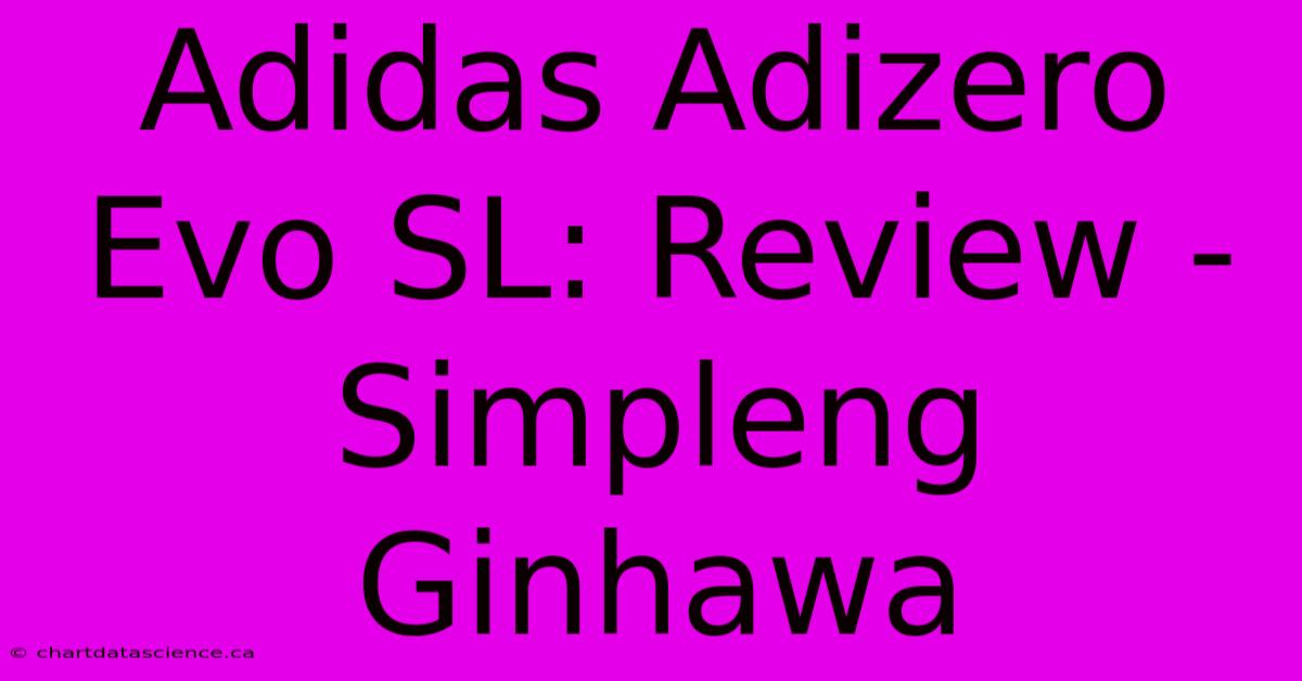 Adidas Adizero Evo SL: Review - Simpleng Ginhawa