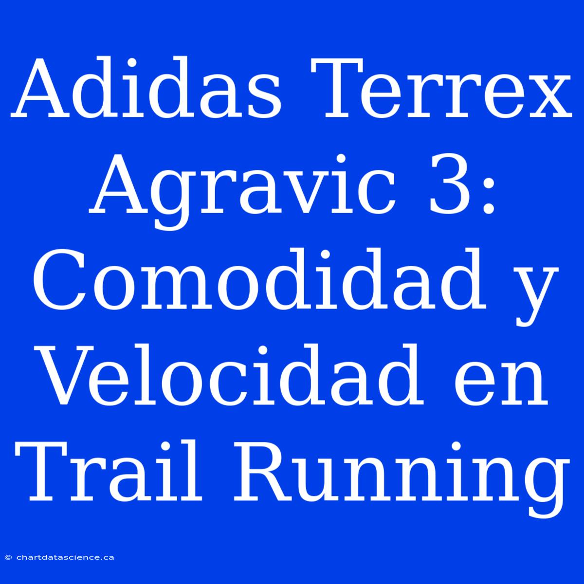 Adidas Terrex Agravic 3: Comodidad Y Velocidad En Trail Running