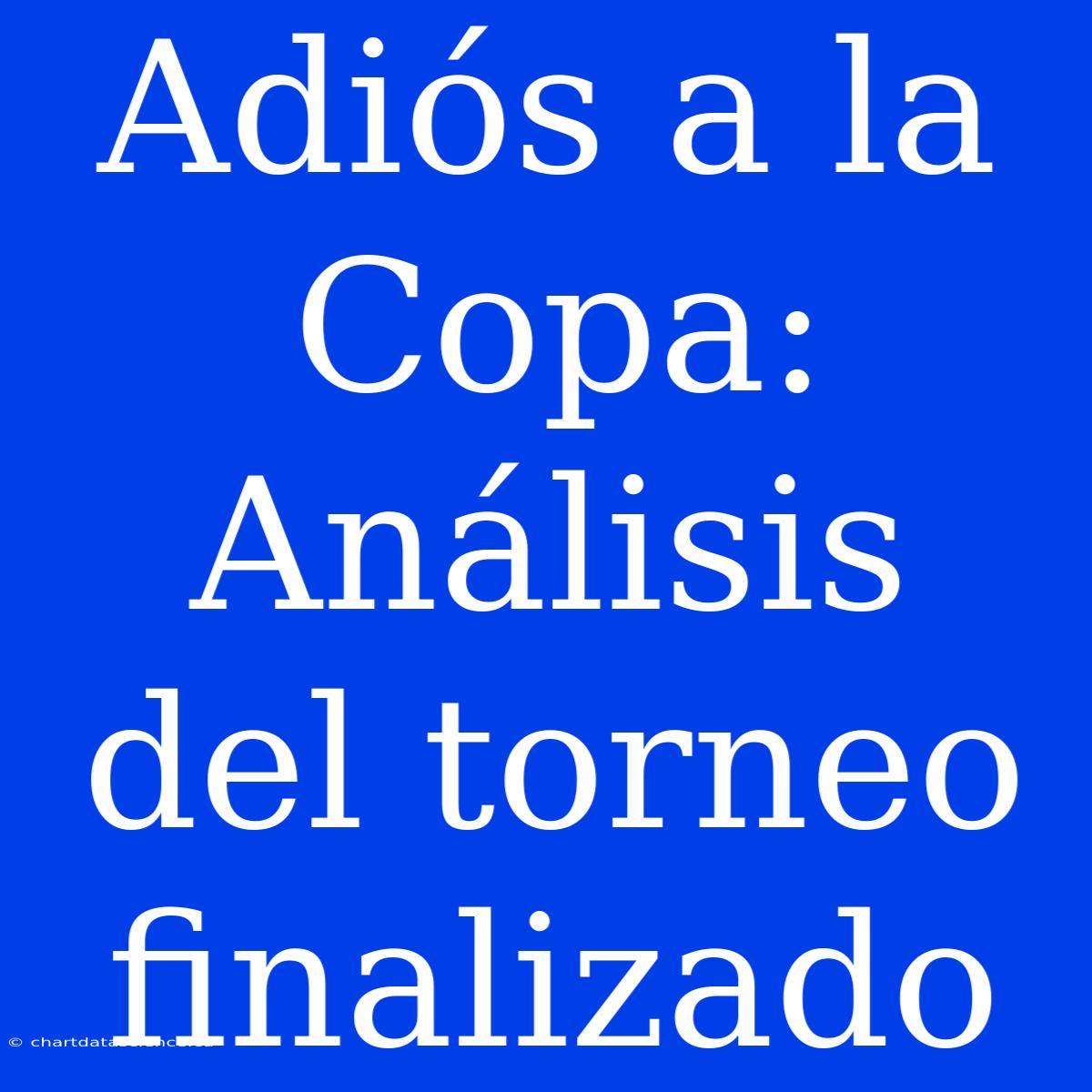 Adiós A La Copa: Análisis Del Torneo Finalizado