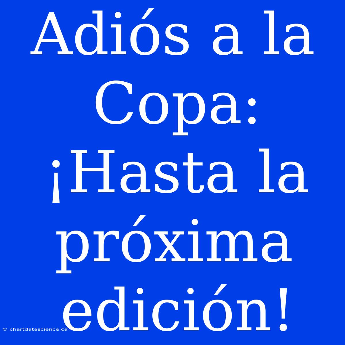 Adiós A La Copa: ¡Hasta La Próxima Edición!